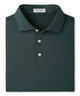 Peter Millar Solid Stretch Jersey Performance Polo Shirt - Pine Brook