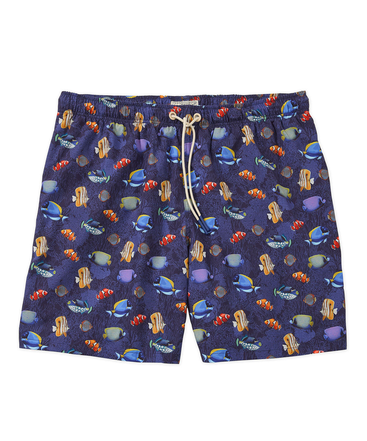 Westport Lifestyle Fish Print Compo Swim Trunks, Men's Big & Tall