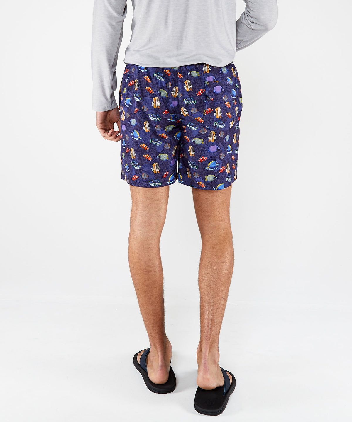 Westport Lifestyle Fish Print Compo Swim Trunks, Men's Big & Tall