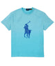 Polo Ralph Lauren Short Sleeve Graphic T-Shirt