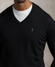 Polo Ralph Lauren Merino Wool V-Neck Sweater
