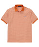 Polo Ralph Lauren Short Sleeve Animated Stripe Mesh Polo