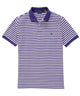 Polo Ralph Lauren Short Sleeve Animated Stripe Mesh Polo
