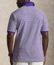 Polo Ralph Lauren Short Sleeve Animated Stripe Mesh Polo