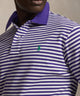 Polo Ralph Lauren Short Sleeve Animated Stripe Mesh Polo