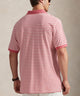 Polo Ralph Lauren Short Sleeve Animated Stripe Mesh Polo
