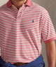 Polo Ralph Lauren Short Sleeve Animated Stripe Mesh Polo