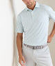 Peter Millar Cheers Print Short Sleeve Performance Polo