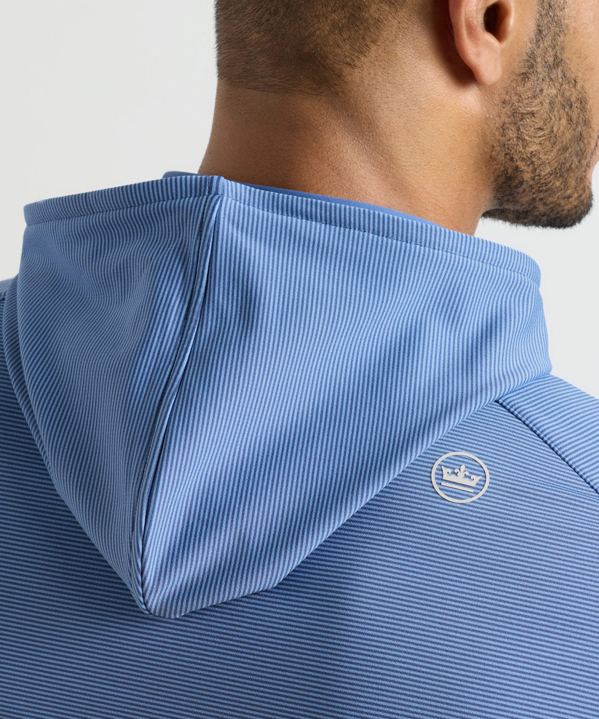 Peter Millar Long Sleeve Pine Sugar Stripe Performance Hoodie, Men's Big & Tall