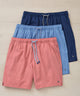 Peter Millar Crown Swim Trunk