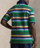 Polo Ralph Lauren Short Sleeve Animated Stripe Mesh Polo
