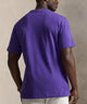 Polo Ralph Lauren Short Sleeve Crew Neck T-Shirt