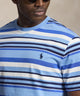 Polo Ralph Lauren Short Sleeve Animated Stripe T-Shirt