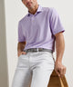 Peter Millar Oaks Stripe Polo