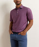 Peter Millar Lobster Boil Print Polo