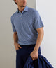 Peter Millar On the Half Shell Print Polo