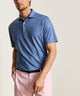 Peter Millar Ridge Print Polo