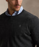 Polo Ralph Lauren Long Sleeve Merino Crew Neck Sweater
