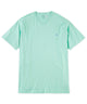 Polo Ralph Lauren Short Sleeve V-Neck Tee Shirt